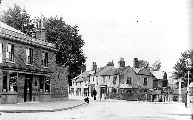 Old Pond, 59 Turners Hill, Cheshunt - circa 1905