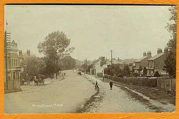 Plough, Bromley